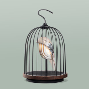 DAQI CONCEPT Jingoo Bluetooth Speaker with Bluetooth