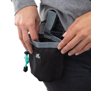 POUNCE & FETCH Treat Bags