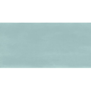 ROCA TILES Maiolica 3" x 6" Glossy Ceramic Wall Tile
