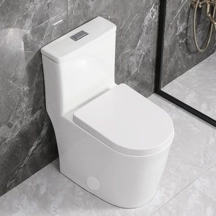 YINGZE Small Dual-Flush Round One-Piece Toilet (Seat Included)