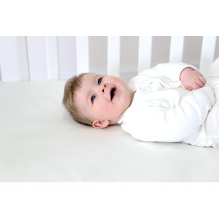 Eladio White Noise Mattress Protector Mattress