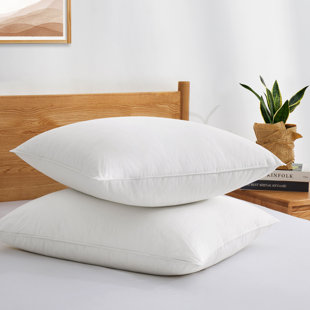 ARSUITE Akridge Down Blend Plush Pillow (Set of 2)