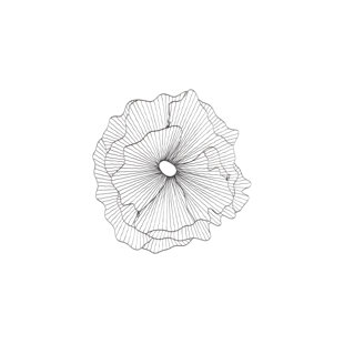PHILLIPS COLLECTION Poppy Flower Wall Decor In Silver/Black