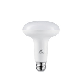 GLOBE ELECTRIC COMPANY 65 Watt Equivalent BR30 E26/Medium (Standard) Dimmable LED Bulb (Set of 2)
