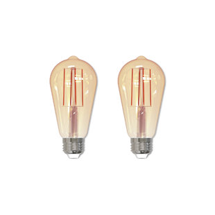 BULBRITE INDUSTRIES 40 Watt Equivalent, ST18, E26, Antique Dimmable, (2200K), LED, Light Bulb Amber Base (Set of 2)