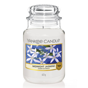 YANKEE CANDLE Glaskerze mit Jasmin-Duft