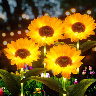 BUCASA Plastic Low Voltage Solar Powered Integrated LED Pathway Light Pack (Set of 4)