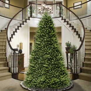 National Tree Company Dunhill Fir Tree