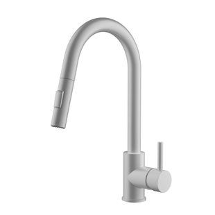 AGUA CANADA Pull Out Kitchen Faucet