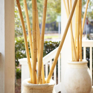 BACKYARD X-SCAPES Natural Bamboo Poles for Fences Decorative Garden Stakes