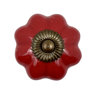 TX USA CORP Novelty Knob Multipack