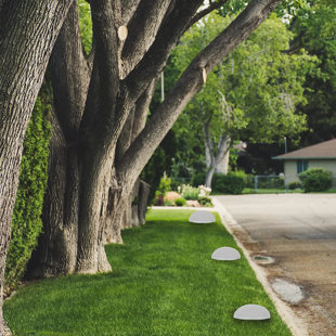 KAHOO Led Solar Landscape Light Lamp Ground Garden Lights (Multicolor Light) (Set of 5)