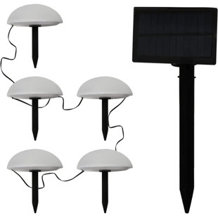 KAHOO Led Solar Landscape Light Lamp Ground Garden Lights (White Light) (Set of 5)