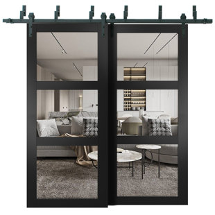 SARTODOORS Lucia Clear Glass Sliding Closet Black Doors
