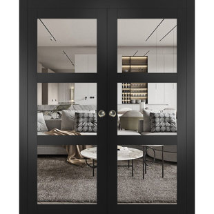 SARTODOORS Lucia Clear Glass Sliding Closet Black Doors
