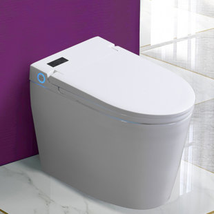 WFSHOP Smart Bidet Toilet Dual-Flush Elongated Toilet Bidet