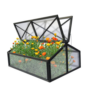 KAHOO 47.24" W x 30.31" D Cold Frame Greenhouse
