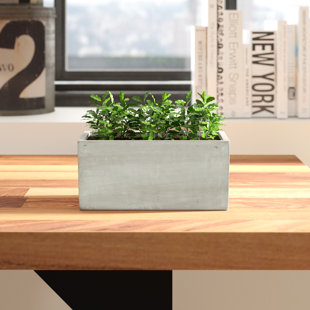 TRENT AUSTIN DESIGN® Milian Handmade Pot Planter