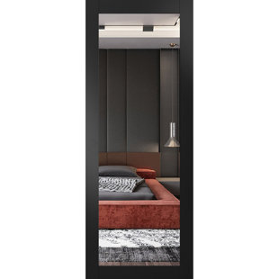 SARTODOORS Lucia Mirrored Glass Standard Black Door Slab
