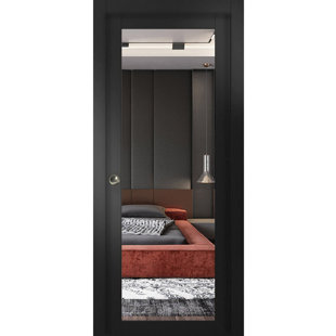 SARTODOORS Lucia Mirrored Glass Sliding Closet Door