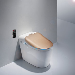 WFSHOP 1.05 Gallons GPF Elongated Chair Height Floor Mounted One-Piece Toilet (Seat Included)