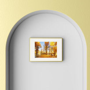 HASHTAG HOME Abraham Picture Frame, Aluminum Metal Frame with Matfor Wall Mounting or Table Top Display