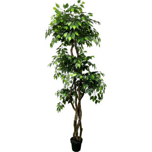 Hand-Made Primrue Giant 6.5'' Artificial Ficus Tree