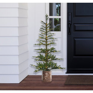 SAND & STABLE™ 5' Lighted Fir Christmas Tree