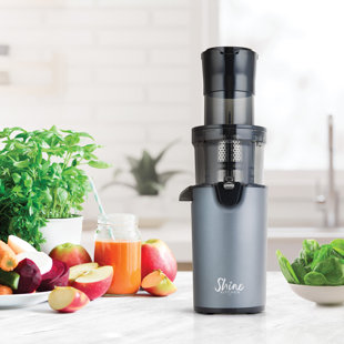 Tribest 200 Watt Stainless Steel Electric Slow Masticating & Cold Press Juicer