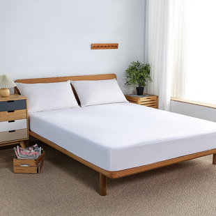 LADY SANDRA Waterproof Fitted Mattress Protector Mattress Protector Case Pack