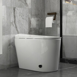 XSIX 1.056 GPF Elongated Toilet