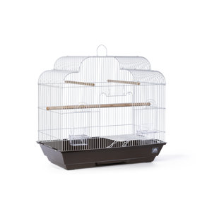 TUCKER MURPHY PET™ Cinamon 24'' Steel Victorian Top Table Top Bird Cage with Perch