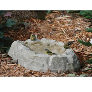 BIRDS CHOICE Rocky Mountain Ground Birdbath