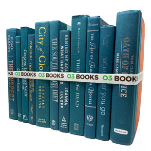 O3 BOOKS Teal Decorative Books