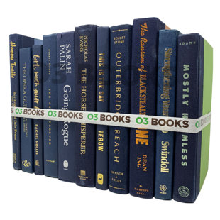 O3 BOOKS Navy Blue Decorative Books