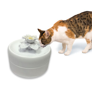 PIONEER PET Automatic Water Dish