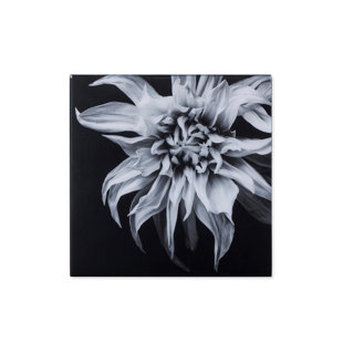 ANDREW MARTIN " Black And White Epoxy "