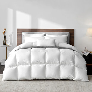 HIGHLAND FEATHER Miskolc 750in³/oz Fill Power All Season Goose Down Comforter