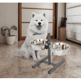 TUCKER MURPHY PET™ Dinahlee Double Bowl Pet Diner
