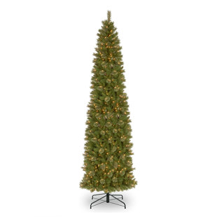 National Tree Company Tacoma Pine Pencil Slim Tree with Clear Lights