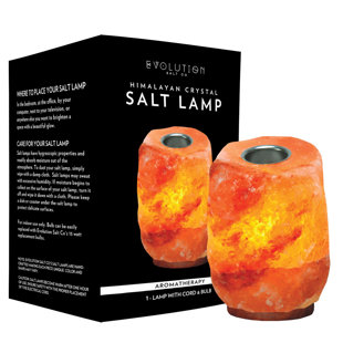 EVOLUTION SALT CO Aromatherapy Himalayan 6 lbs Salt Lamp
