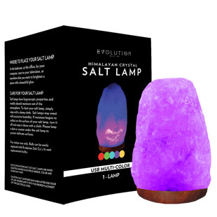 EVOLUTION SALT CO USB Natural 1 lb Salt Lamp