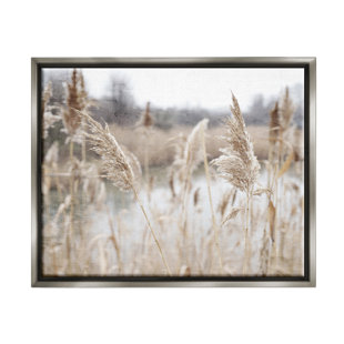 STUPELL INDUSTRIES " Rural Pampas Grass Reeds Lakeside Pond Marsh " by Kim Allen