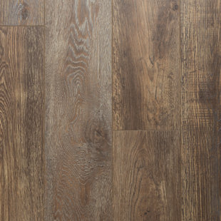 DYNO EXCHANGE Nostalgia 7.68" x 47.83" x 12.3mm Oak Laminate Flooring