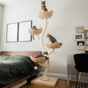 MAU LIFESTYLE 73'' H Cat Tree