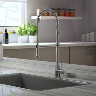 Lulani Soneva Spout Single Handle Kitchen Faucet With Accessories