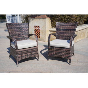 DIRECT WICKER Outdoor Dining Armchair with Cushion (Set of 2)