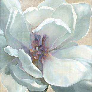 COURTSIDE MARKET " White Flower I "