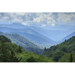 MILLWOOD PINES " Great Smoky Mountains " by Sprokop