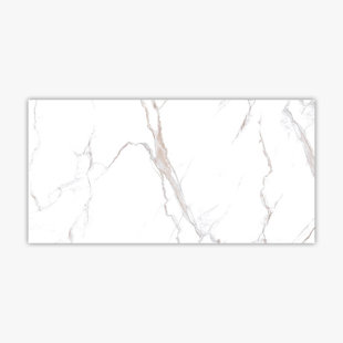 DIRECT STONE SOURCE Calacatta 24" x 48" Porcelain Marble Look Wall & Floor Tile